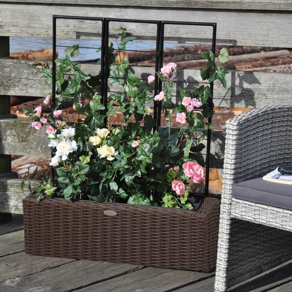 Brown Wicker planter with trellis